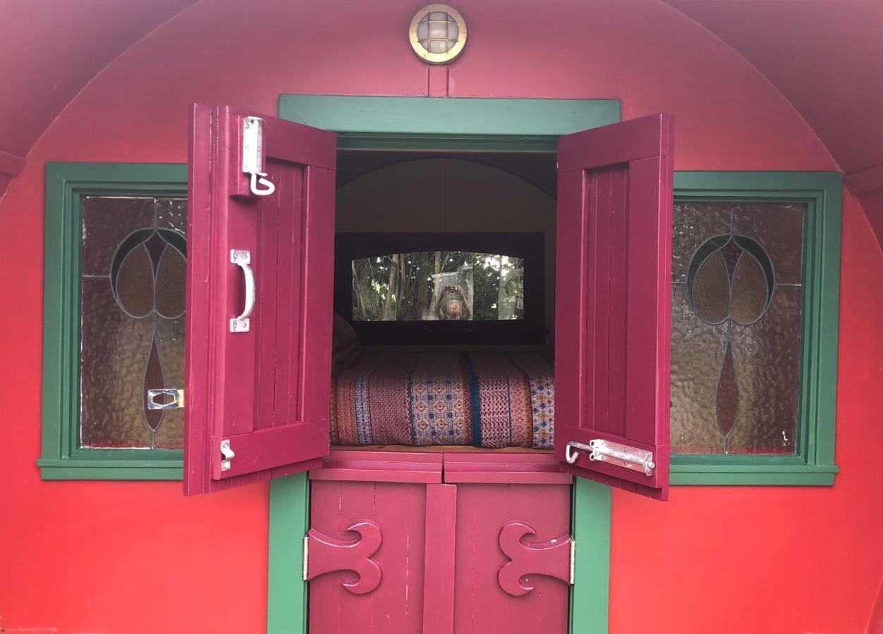 Greytown Campground Bagian luar foto